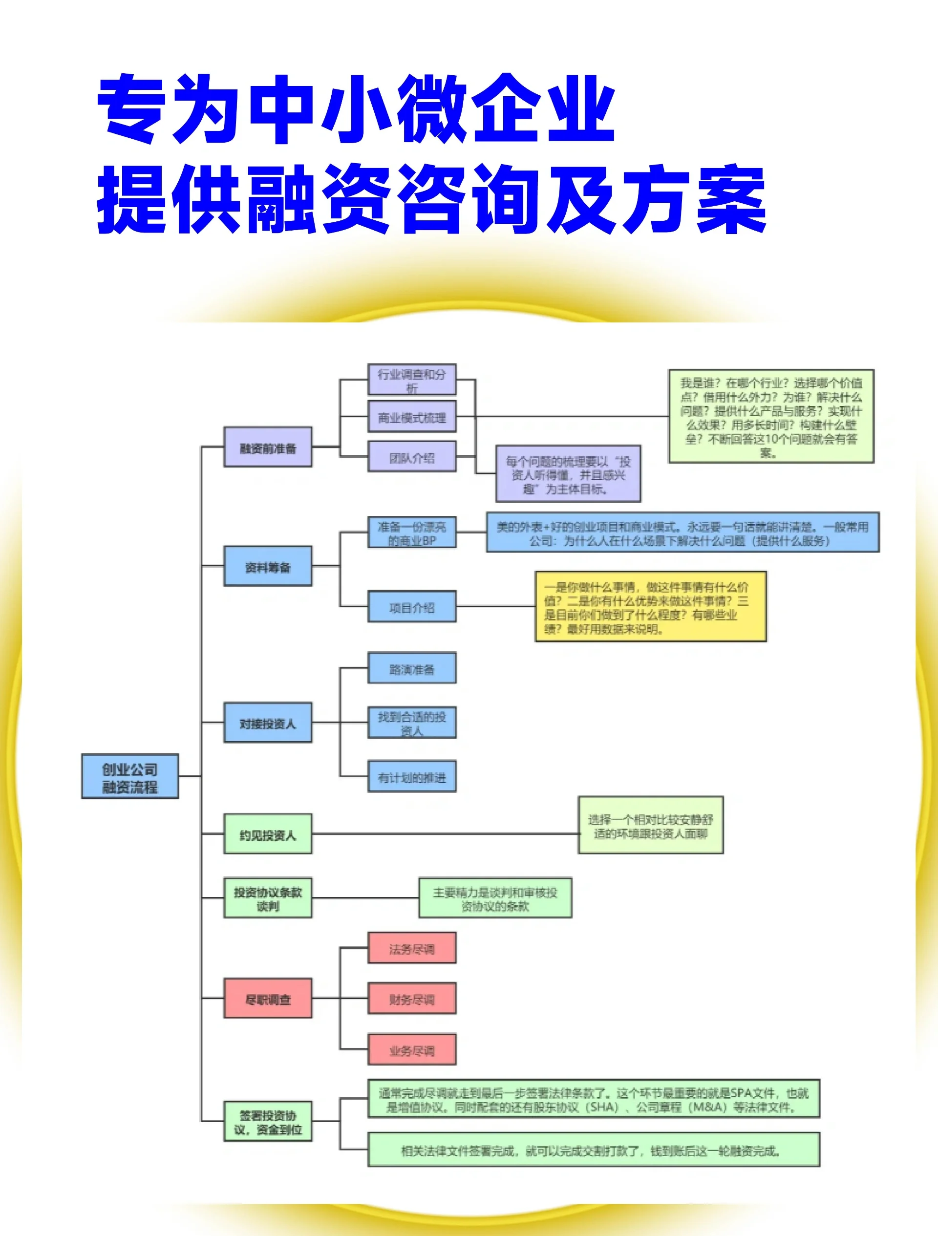 玉林市宠物企业资金管理(宠物管理机构叫什么)