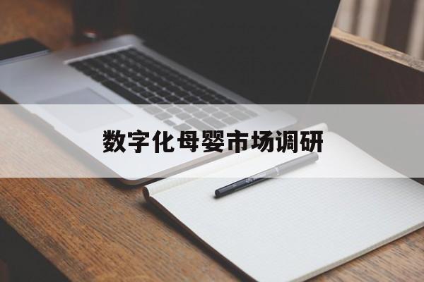 玉林市数字化母婴市场调研(数字化母婴市场调研报告)