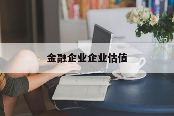玉林市金融企业企业估值(最新企业估值怎么填)
